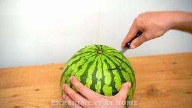 河南辉县市吃瓜视频,一场视觉与味觉的双重盛宴