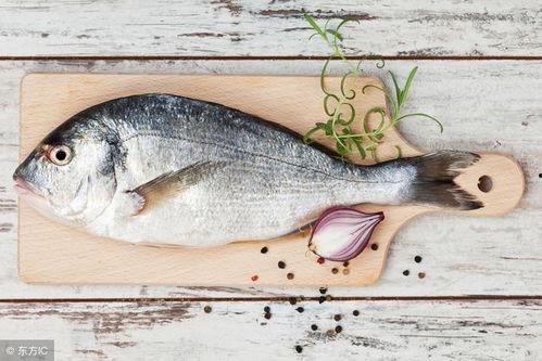 瓜宝鱼怎么吃最好视频播放,视频播放教你最佳食用方法