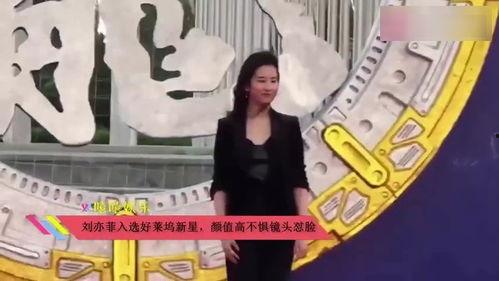 群众喂鹅吃瓜视频,网友直呼可爱爆表