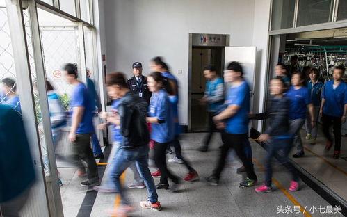 工厂集体吃瓜视频,欢乐瞬间捕捉工作之余的温馨时光