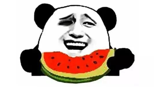 吃瓜长视频,一场视觉盛宴背后的故事