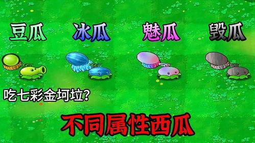 僵尸可以吃冰瓜吗视频,揭秘僵尸的神秘食性