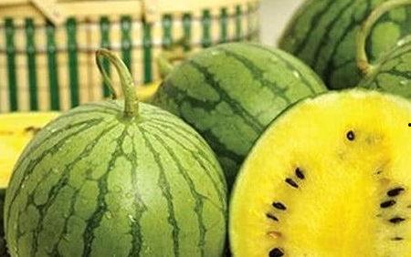 西瓜没有瓜黄可以吃吗视频,能否食用及营养价值探讨