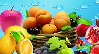 砍瓜能当水果吃吗视频大全,砍瓜变身水果的神奇之旅