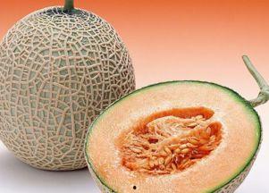 幼兔吃哈密瓜好吗视频,幼兔食用哈密瓜的安全性探讨